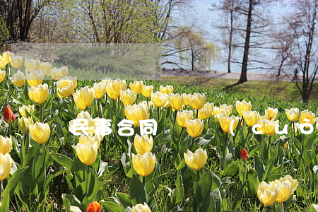 民事合同糾紛錯(cuò)判如何處理