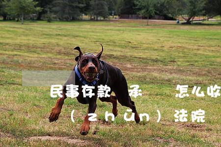 民事存款繼承訴訟怎么收費標(biāo)準(zhǔn)(法院繼承案件收費標(biāo)準(zhǔn))