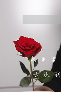 民事官司输了没钱赔怎么办(民事官司赢了,对方没钱怎么办?)