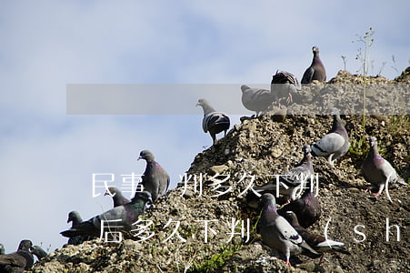 民事審判多久下判決書(shū)(民事庭審后多久下判決書(shū))