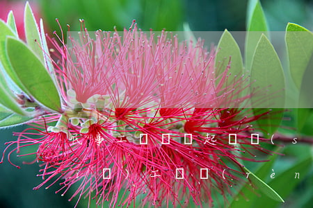 民事工傷賠償起訴書(shū)怎么寫(xiě)(工傷認(rèn)定起訴狀范本)