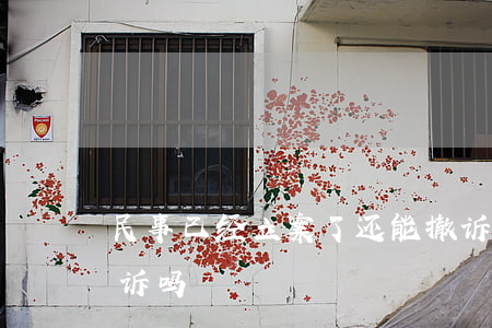 民事已经立案了还能撤诉吗(民事案件可以撤诉吗)