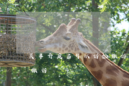 民事开庭后可以诉讼撤诉吗(开庭以后能不能撤诉)