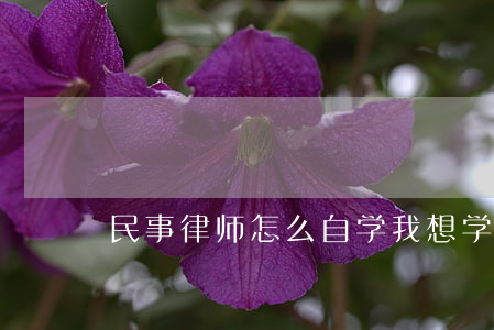 民事律师怎么自学(我想学律师初级怎么学)