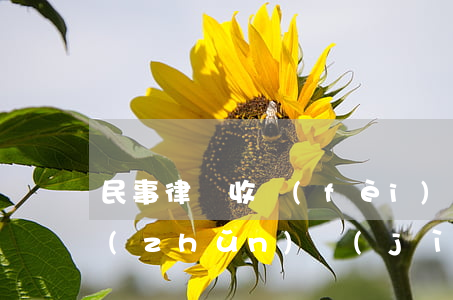 民事律師收費(fèi)標(biāo)準(zhǔn)計(jì)算(民事官司律師收費(fèi)標(biāo)準(zhǔn))