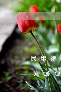 民事律師服務(wù)合同(合同協(xié)議律師咨詢)