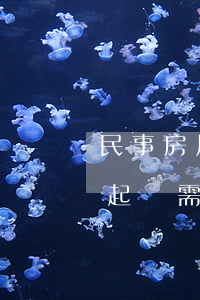民事房屋確權起訴狀怎么寫(房屋確權糾紛案起訴需要什么資料)