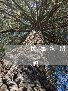 民事拘留需要请律师吗(拘留期间请律师有用吗)
