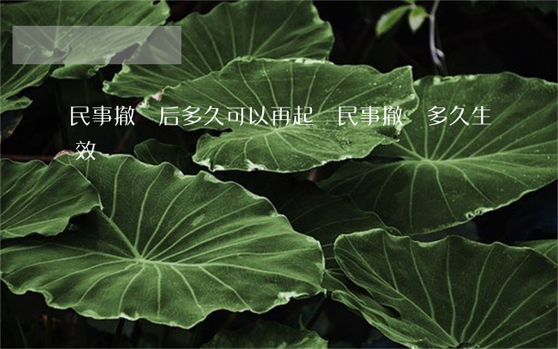 民事撤訴后多久可以再起訴(民事撤訴多久生效)