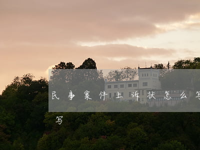 民事案件上诉状怎么写(刑事案件上诉状怎么写)