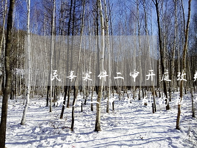 民事案件二审开庭改判几率大吗(民事一审判决后二审改判的概率大吗)