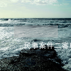 民事案件二審后如何抗訴(民事二審提出反訴)