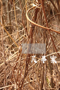 民事案件可以申請(qǐng)法律援助嗎