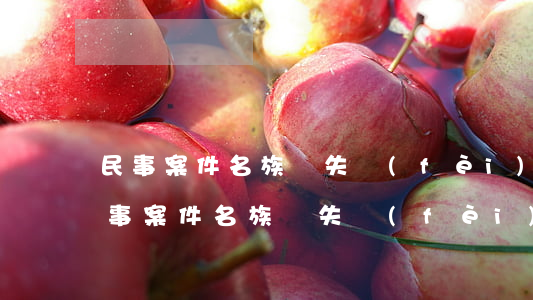 民事案件名族損失費(fèi)多少錢起(民事案件名族損失費(fèi)多少錢起)