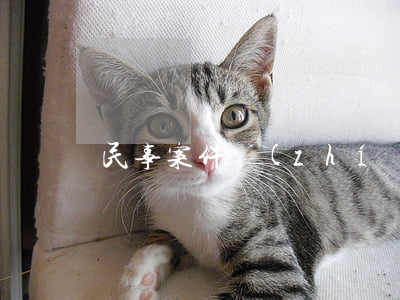 民事案件執(zhí)行期限