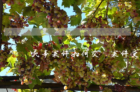 民事案件如何交納案件受理費(fèi)