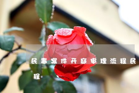 民事案件开庭审理流程(民事案件法庭审理流程)