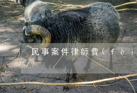 民事案件律師費(fèi)誰出