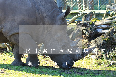 民事案件法院可以定位手機(jī)嗎(法院執(zhí)行可以手機(jī)定位嗎)