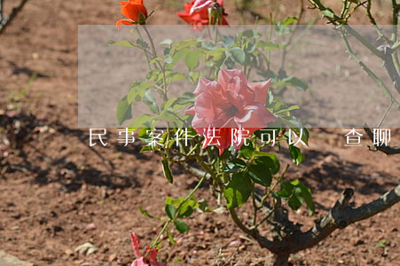 民事案件法院可以調查聊天記錄嗎