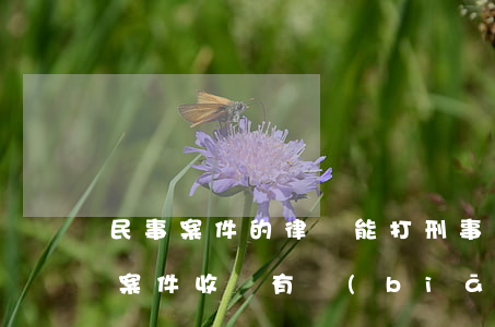 民事案件的律師能打刑事案件嗎(律師打刑事案件收費有標(biāo)準(zhǔn)嗎?)