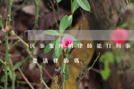 民事案件的律師能打刑事案件嗎(民事案件需要請律師嗎)