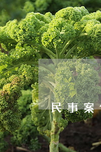 民事案件號是多少位(民事案件案號)
