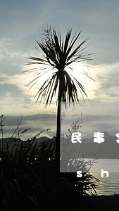 民事案件開(kāi)庭后多久下判決書(shū)范本(民事訴訟案開(kāi)庭后,一般多久下達(dá)判決書(shū))