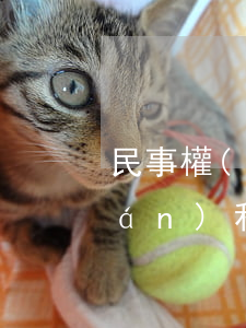 民事權(quán)利有哪些(民事權(quán)利有哪些分類)