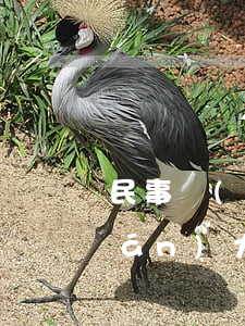 民事權(quán)利有哪些(民事權(quán)力有哪些)