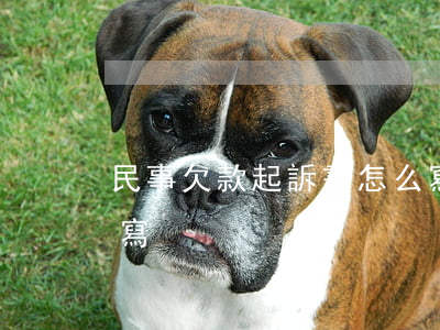 民事欠款起訴書怎么寫(民事欠款起訴書怎么寫)