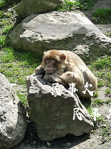 民事欠錢法院強制執(zhí)行可以旅游嗎(民事欠錢法院強制執(zhí)行可以旅游嗎)