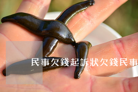 民事欠錢起訴狀(欠錢民事起訴書模板)