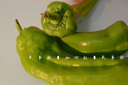 民事欺詐如何起訴(民事欺詐怎么賠償)