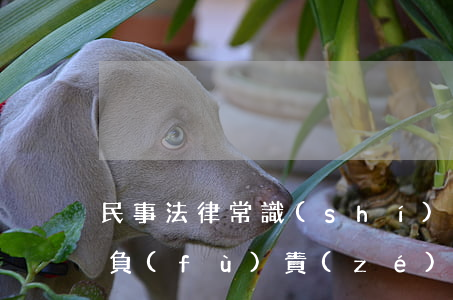民事法律常識(shí)律師(民事律師主要負(fù)責(zé)什么)
