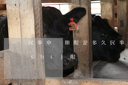 民事申訴期限是多久(民事生效判決申訴時(shí)限)