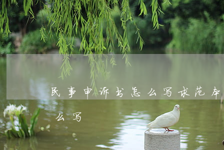 民事申诉书怎么写求范本(民事个人申诉书怎么写)