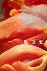 民事离婚起诉多少钱(起诉离婚法院要多少钱?)