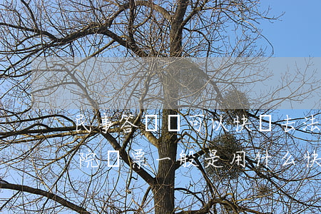 民事答辯書可以快遞去法院嗎(律師函或者法院傳票一般是用什么快遞寄出)