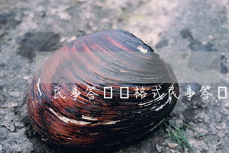 民事答辯狀格式(民事答辯狀格式怎樣寫)