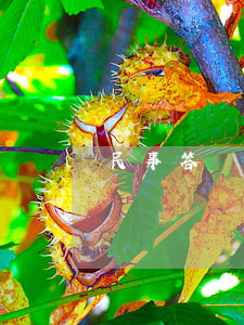 民事答辯狀(民事答辯狀格式范文)