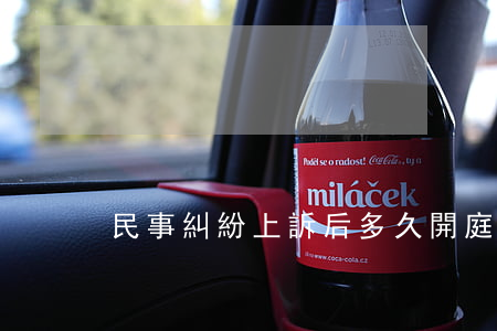 民事糾紛上訴后多久開庭