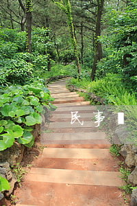 民事糾紛上訴書怎么寫(上訴書怎么寫?)