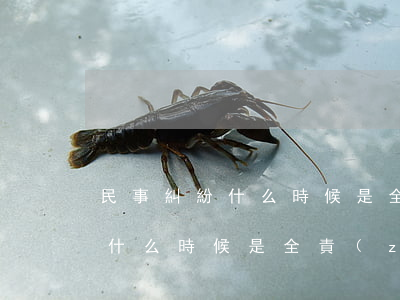 民事糾紛什么時候是全責(zé)(民事糾紛什么時候是全責(zé))