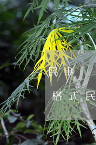 民事糾紛協(xié)議書(shū)范本格式(民事糾紛處理協(xié)議范本)