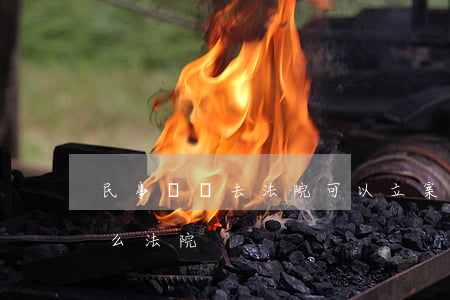 民事糾紛去法院可以立案嗎(民事訴訟要去什么法院)