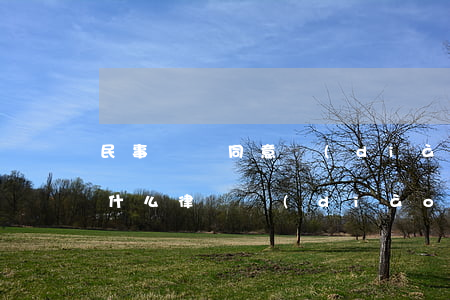 民事糾紛同意調(diào)解后找律師寫什么(律師調(diào)解的和解協(xié)議書有效嗎)