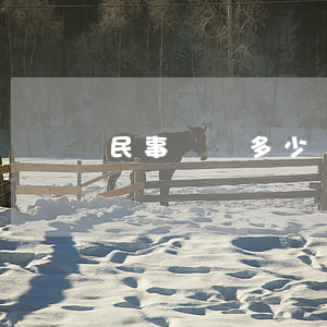 民事糾紛多少錢才立案(起訴民事糾紛多少錢)