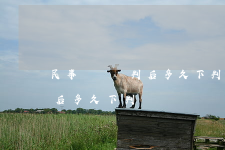 民事糾紛審判后多久下判決書(民事糾紛審判后多久下判決書)