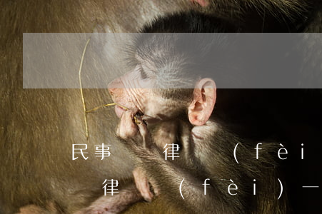 民事糾紛律師費(fèi)大概多少(民事糾紛律師費(fèi)一般怎么收費(fèi))